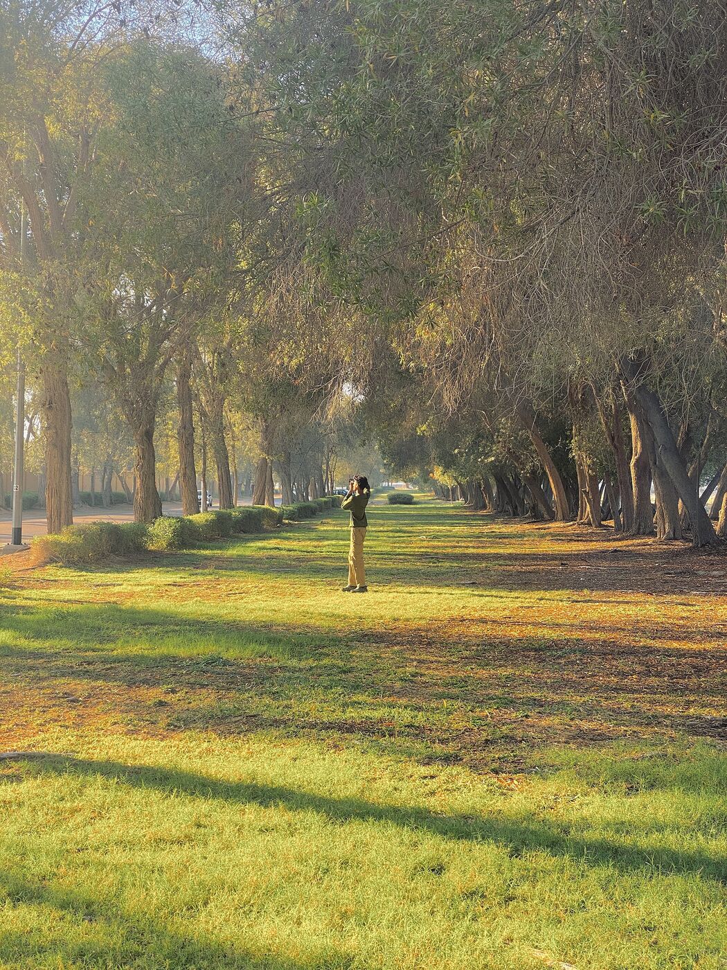 Nad Al Sheba's mini forest greenery